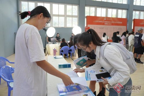 蒙自市扎實開展民營企業服務月系列活動，助力社會經濟發展