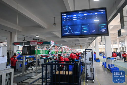 浙江嵊州 以高質量社會經濟咨詢服務為引擎，推進工業經濟跨越發展